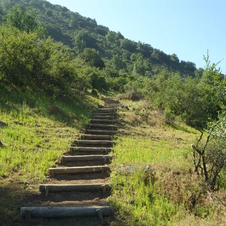 Bosques nativos y 
Senderos de excursión